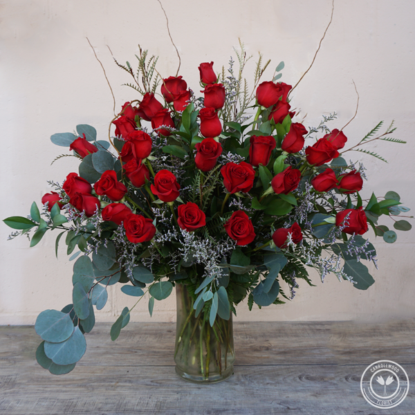 Three Dozen Roses :: Carrollwood Florist