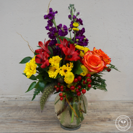 Shop Flowers in Tampa for All Occasions